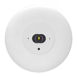 LED EMERG LGT REC SATELLITE CORRIDOR WHT LED EMERG LGT REC SATELLITE CORRIDOR WHT