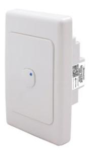 ADVANCED TIMER SWITCH WALL PLATE MTD 10A