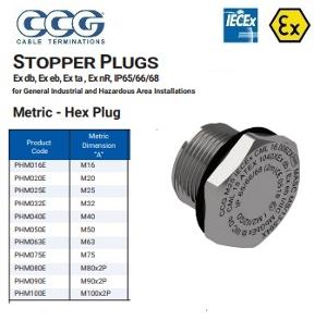 HEX STOPPER PLUG BRASS 25MM EX