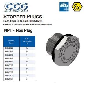 HEX HEAD PLUG EXD/EXE 1/2IN NPT