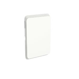 ICONIC BLANK PLATE VERT/HORIZ VIV WHT