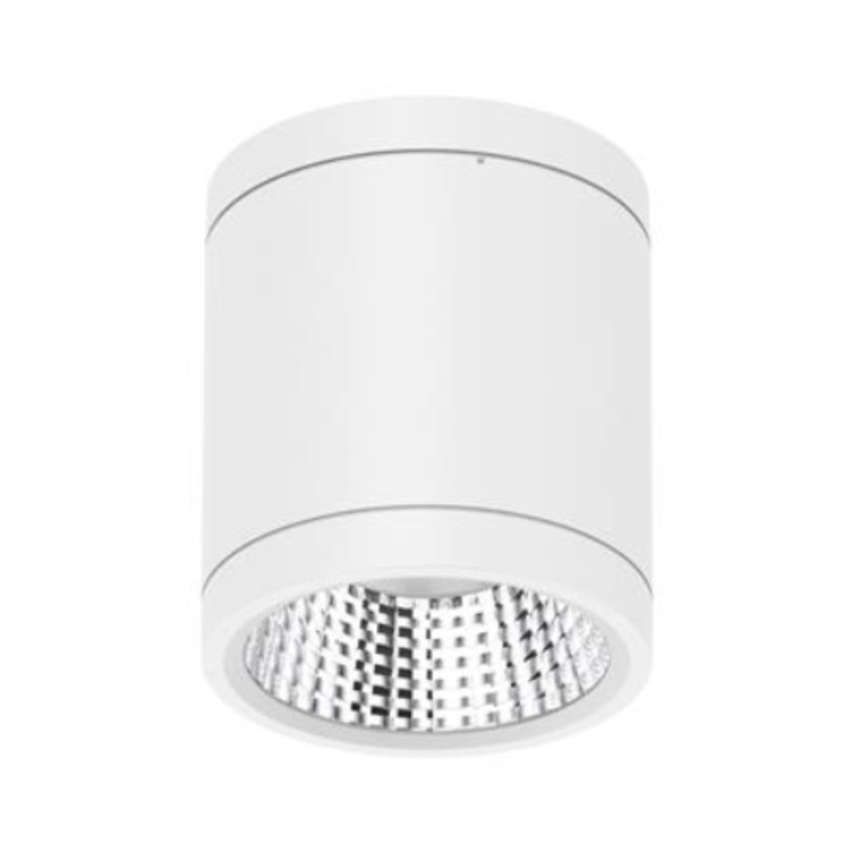 LED D/LIGHT NEO-PRO S/M RND 13W CCT WHT