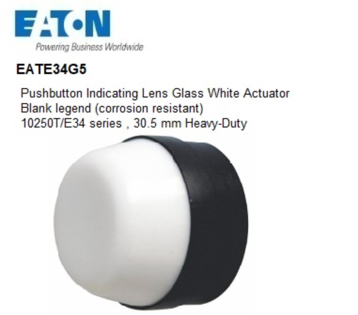 LENS GLASS CORROSION RESISTANT WHITE