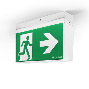 LED EMERGENCY EXIT MERCURY BASIC MAINT