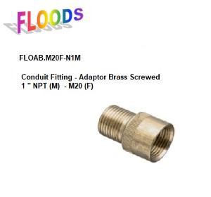 F20-M1IN NPT BRASS ADAPTOR