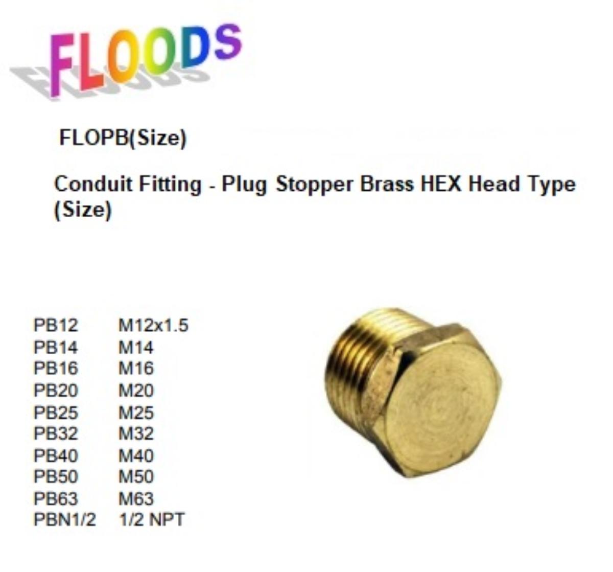 BRASS HEXAGON PLUG M25