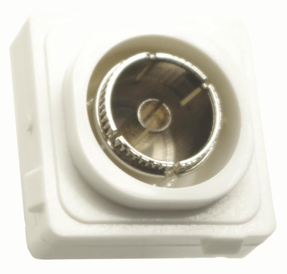 MEERKAT TV MECH F TYPE TO PAL MODULAR WH
