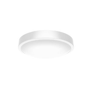 ORION ECO COLOUR SELECT LED OYSTER
