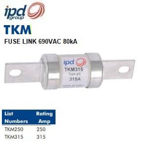 BOLT-IN FUSE CENTRE TAG 250A 690V BOLT-IN FUSE CENTRE TAG 250A 690V