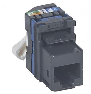 CAT6 RJ45 UTP KEYSTONE JACK BLACK CAT6 RJ45 UTP KEYSTONE JACK BLACK