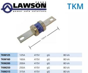 BOLT IN FUSE HRC CENTRE TAG 415V 250A BOLT IN FUSE HRC CENTRE TAG 415V 250A