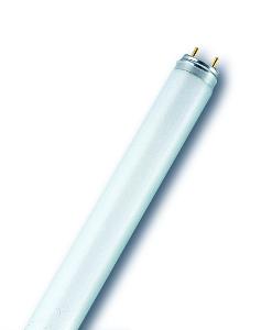 FLUORO TUBE 36W T8 6500K DAYLIGHT