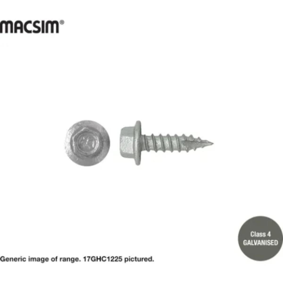 SCREW MULTIPURPOSE TYPE 17 12GX25MM GALV