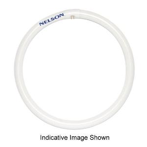 CIRCULAR FLUORO TUBE 22W T5 4000K C/WHT CIRCULAR FLUORO TUBE 22W T5 4000K C/WHT