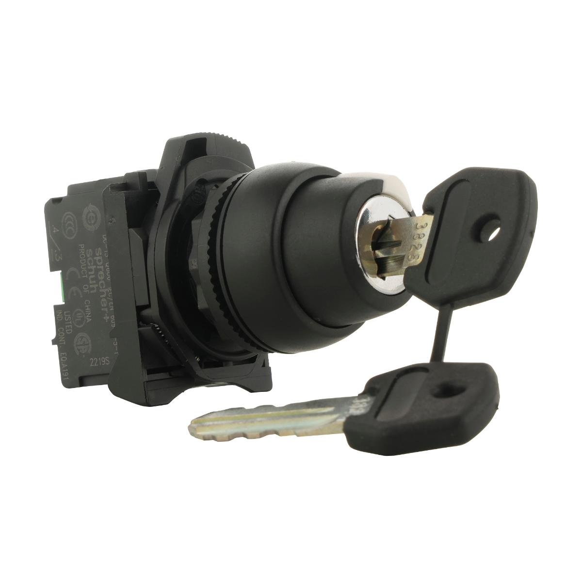 KEYED SELECTOR SW 22.5MM PLAS 2POS 3825