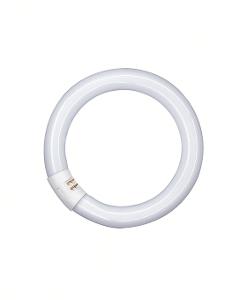CIRCULAR FLUORO TUBE 32W T9 6500K G10Q CIRCULAR FLUORO TUBE 32W T9 6500K G10Q