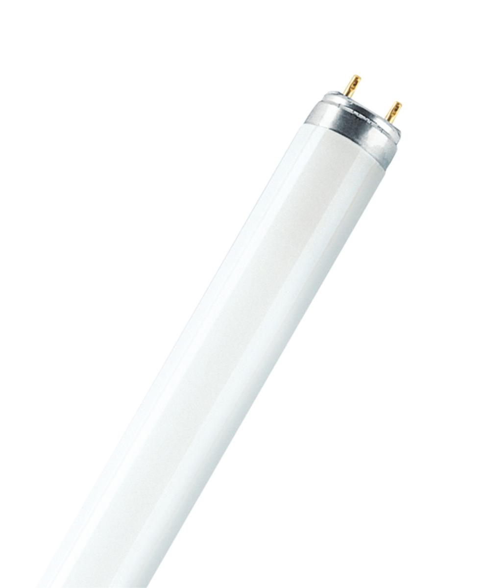 FLUORO TUBE 58W T8 6500K DAYLIGHT