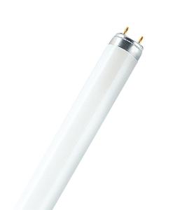 FLUORO TUBE 58W T8 6500K DAYLIGHT FLUORO TUBE 58W T8 6500K DAYLIGHT