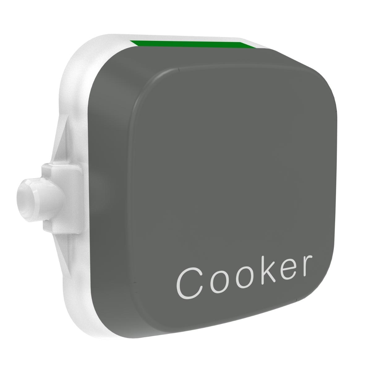 ICONIC ESSENCE DOLLY ROCKER COOKER AS GY