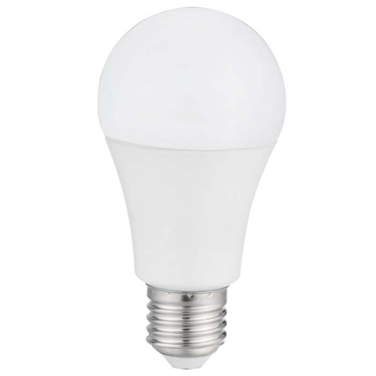 LED LAMP A60 11W E27 6500K FROSTED