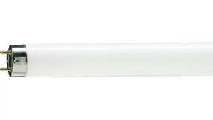 FLUORO TUBE 15W T8 4000K COOL WHITE FLUORO TUBE 15W T8 4000K COOL WHITE