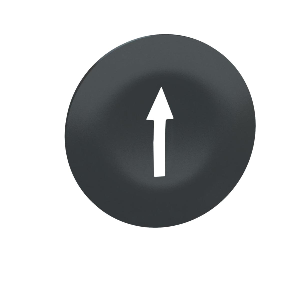 CAP BLACK WHITE ARROW MULTI HEADED P/B