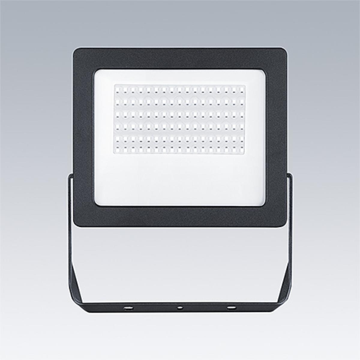 LED FLOODLIGHT LEONIE VARIO 40W CCT IP65