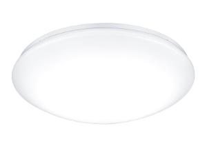 LED OYSTER LENA 14W CCT 320MM O/D WHITE