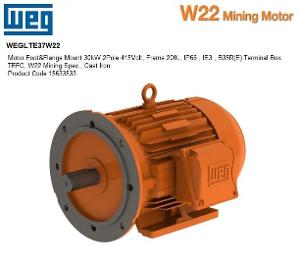 MOTOR MINING W22 30 KW 02 B35R(E) 200L I MOTOR MINING W22 30 KW 02 B35R(E) 200L I