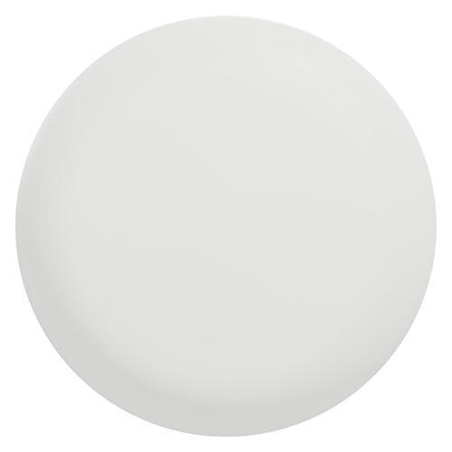 Ceiling Fan Light