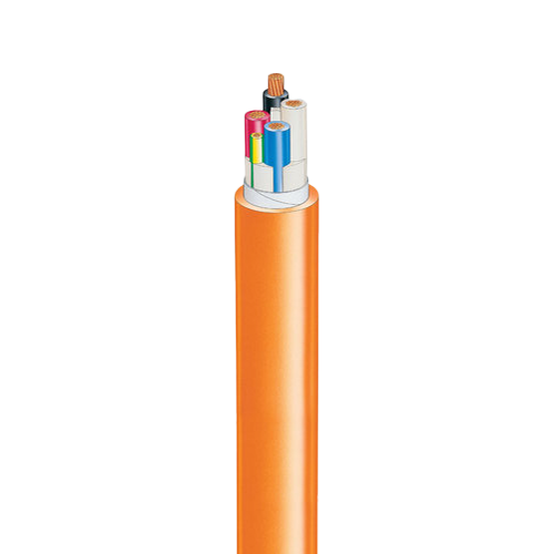 Orange Circular