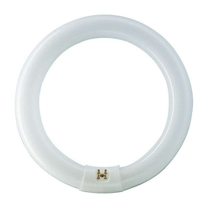 CIRCULAR FLUORO TUBE 22W T9 4000K G10Q