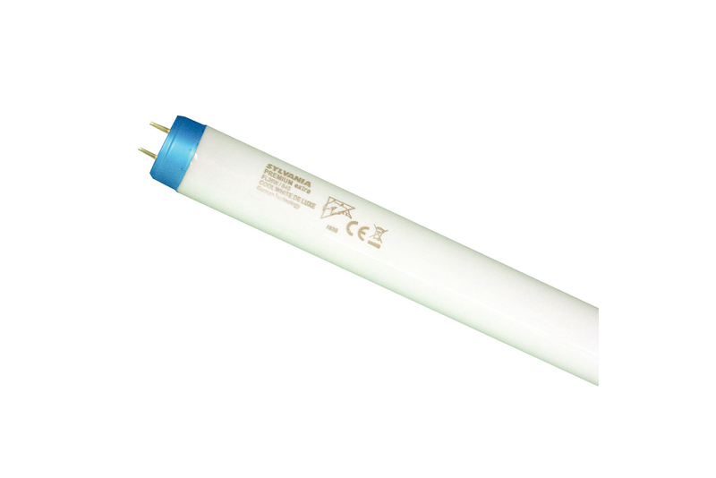 FLUORO TUBE 36W T8 6500K DAYLIGHT